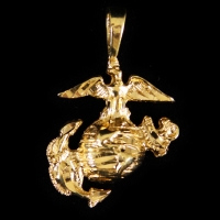 Marine Symbol / Eagle, Globe, Anchor - N-12