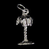 Rhodium Charms